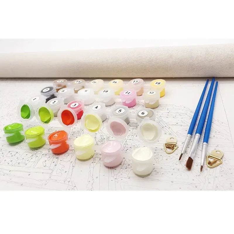 DIY Painting by Numbers Kit